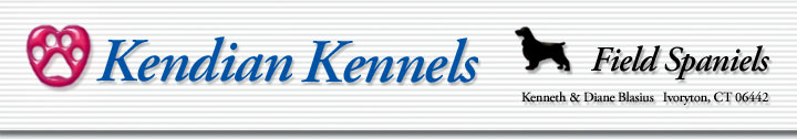 Kendian Kennels Field Spaniels Ivoryton, CT 06442