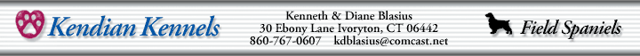 Kendian Kennels Field Spaniels
