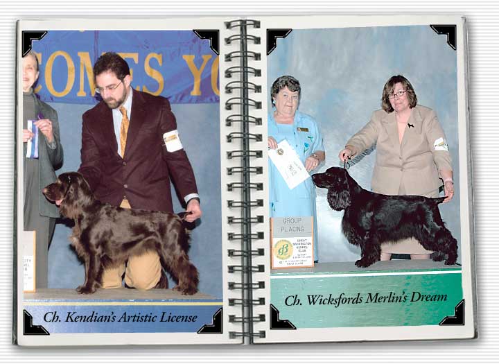 Kendian Kennels Field Spaniel Champions