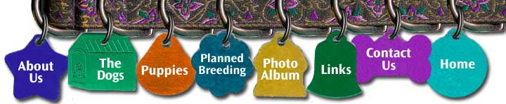 Kendian Kennels Field Spaniel Site Menu